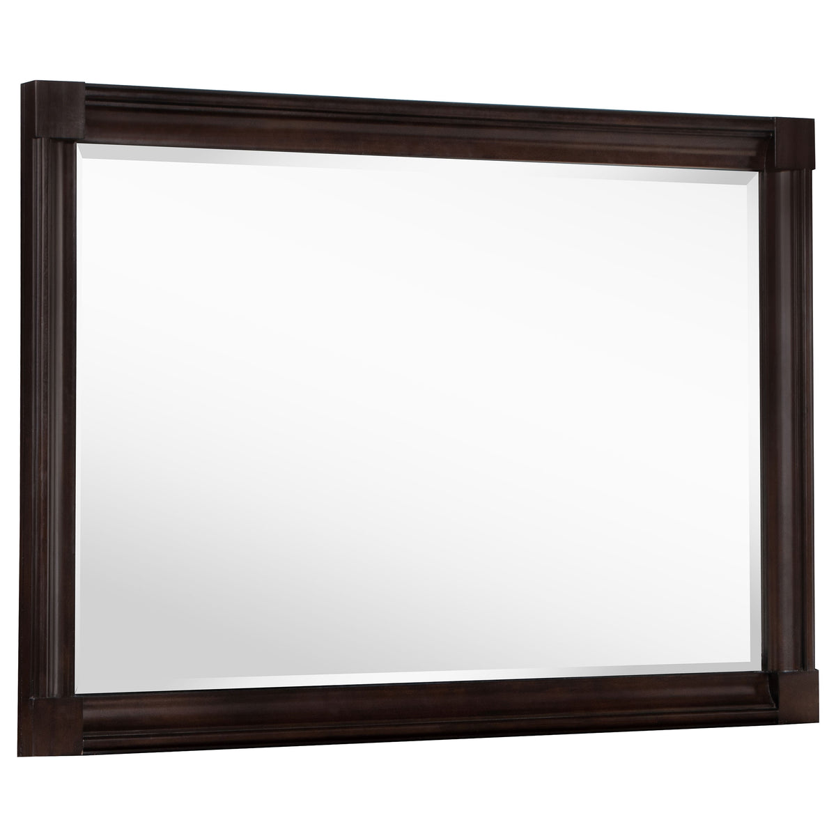 Tampa Furniture Outlet - Coaster - Andover Dresser Mirror Dark Oak - 223634