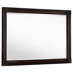 Tampa Furniture Outlet - Coaster - Andover Dresser Mirror Dark Oak - 223634