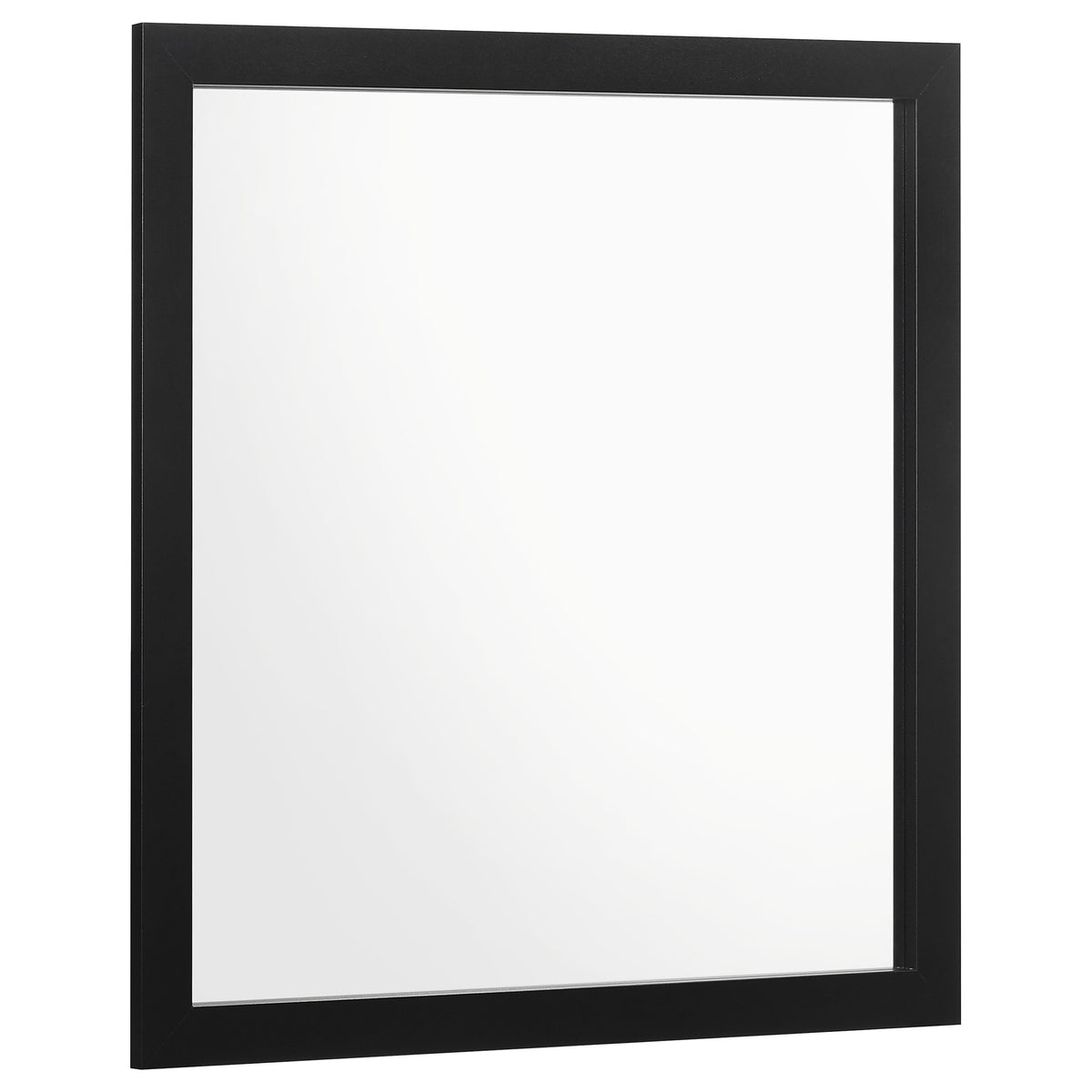 Tampa Furniture Outlet - Coaster - Kendall Dresser Mirror Black - 224454