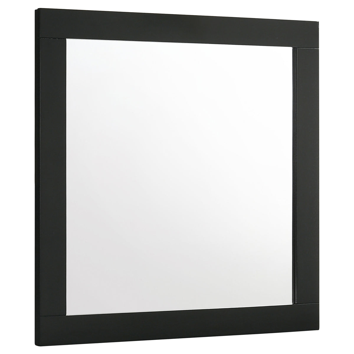 Tampa Furniture Outlet - Coaster - Caraway Dresser Mirror Black - 224784