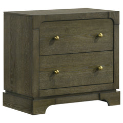 Tampa Furniture Outlet - Coaster - Gran Park 2-drawer Nightstand Bedside Table Dark Cocoa - 224932