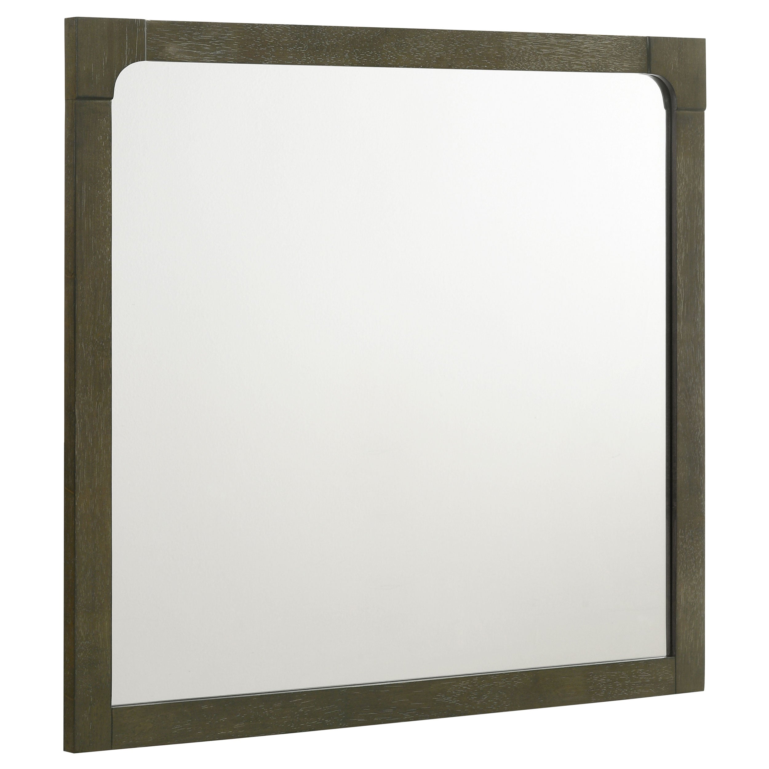 Tampa Furniture Outlet - Coaster - Gran Park Dresser Mirror Dark Cocoa - 224934