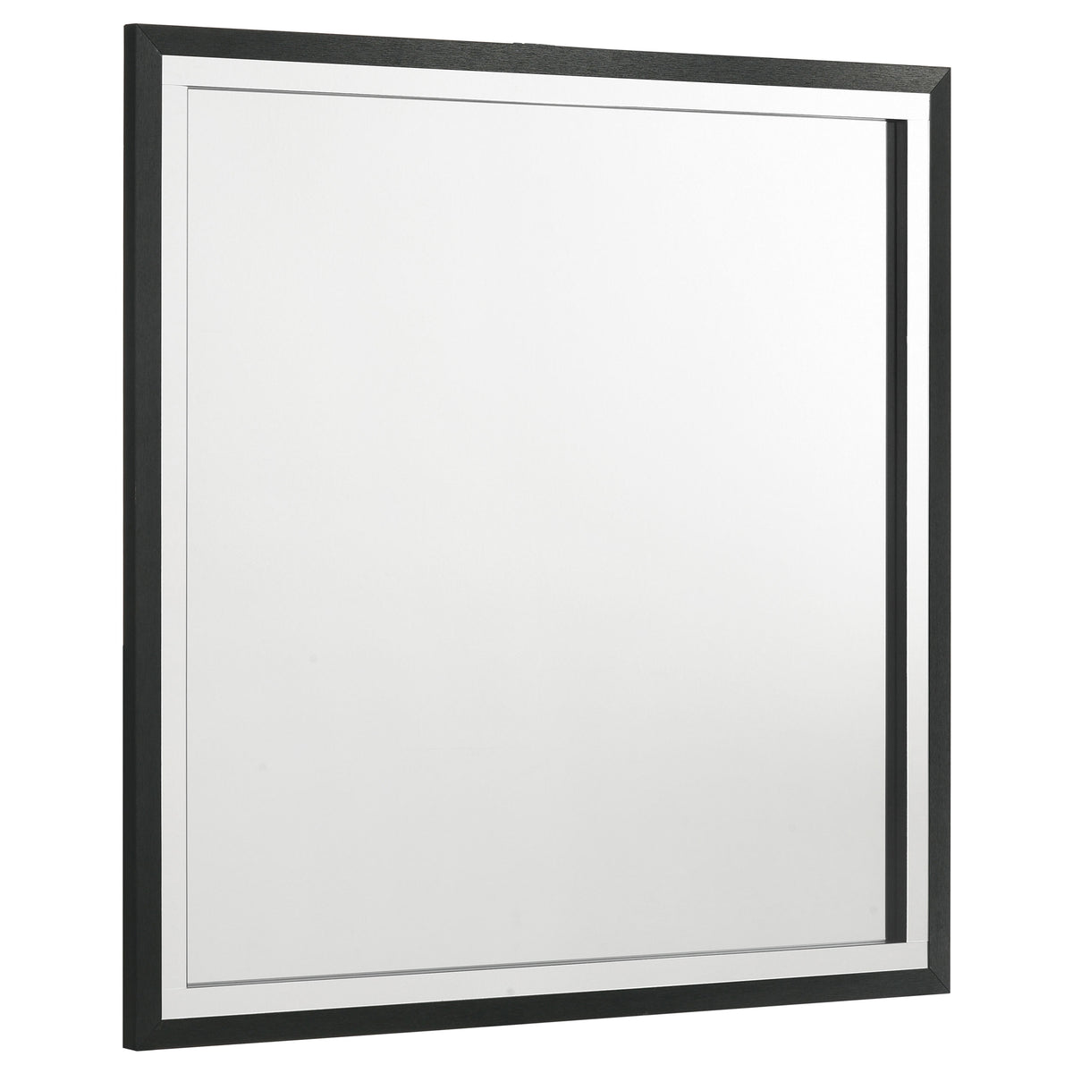 Tampa Furniture Outlet - Coaster - Lucia Dresser Mirror Black - 224994