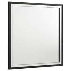 Tampa Furniture Outlet - Coaster - Lucia Dresser Mirror Black - 224994