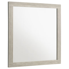 Tampa Furniture Outlet - Coaster - Trenton Dresser Mirror Rustic Cream - 225064