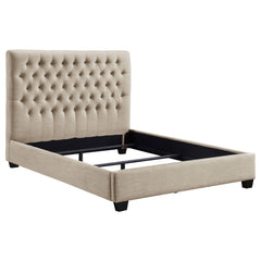 Tampa Furniture Outlet - Coaster - Chloe Upholstered Queen Panel Bed Oatmeal - 300007Q