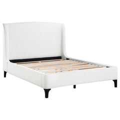 Tampa Furniture Outlet - Coaster - Mosby Upholstered Queen Wingback Bed Snow - 306020Q
