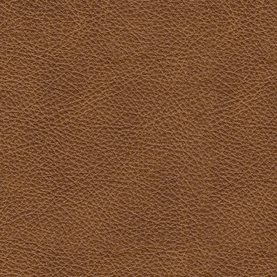 Emilia Sectional