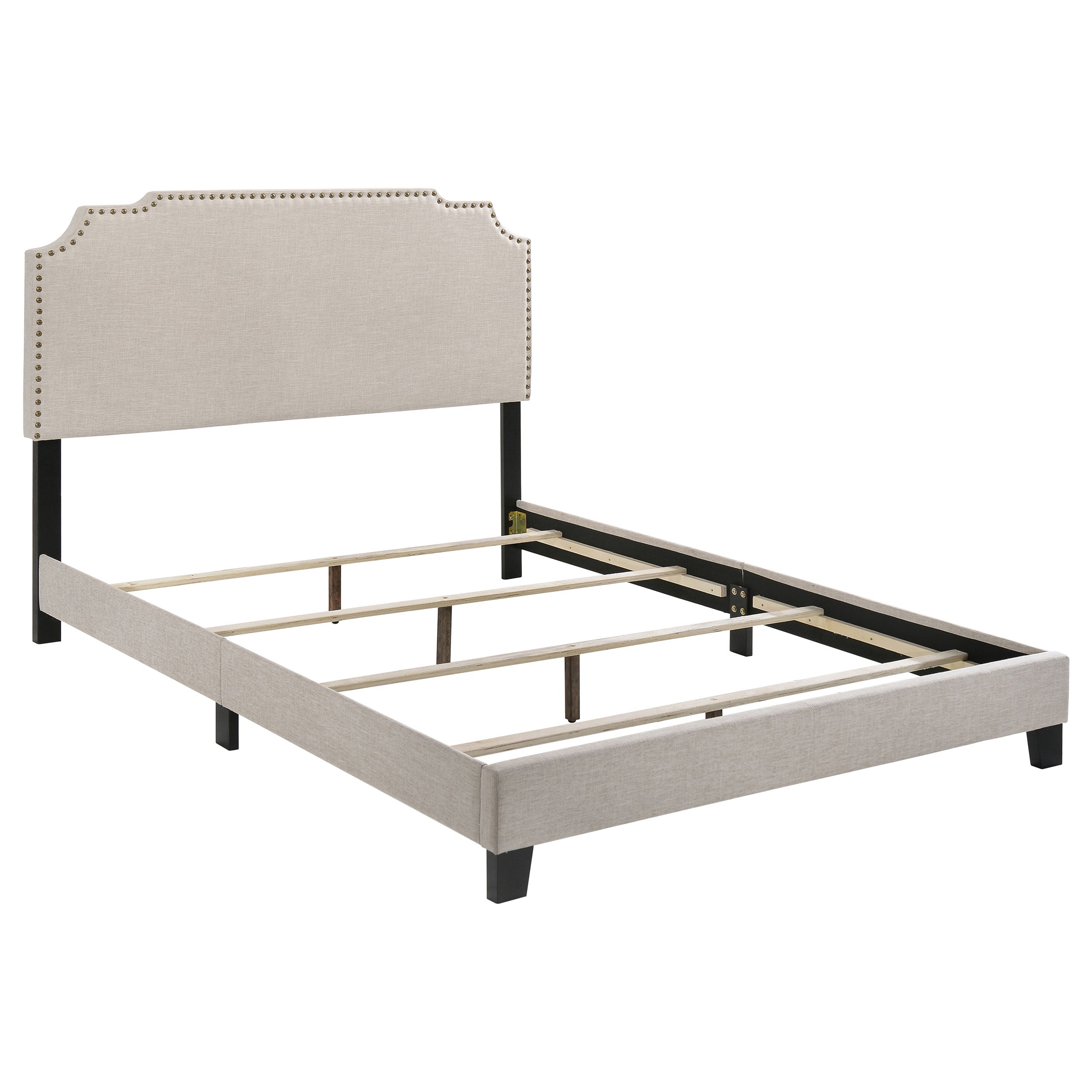 Tampa Furniture Outlet - Coaster - Tamarac Upholstered Full Panel Bed Beige - 310061F