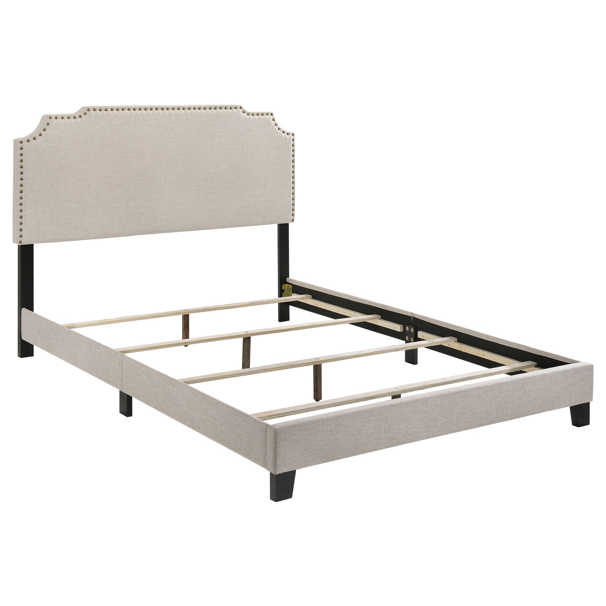 Tampa Furniture Outlet - Coaster - Tamarac Upholstered Queen Panel Bed Beige - 310061Q