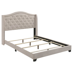 Tampa Furniture Outlet - Coaster - Sonoma Upholstered Full Wingback Bed Beige - 310073F