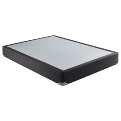 Tampa Furniture Outlet - Coaster - Mercer 9-inch Twin Standard Box Spring Foundation - 350416T