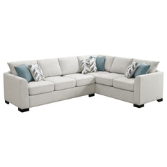 Tampa Furniture Outlet - Coaster - Ashford Chenille Upholstered Sleeper Sectional Sofa Greige - 500818