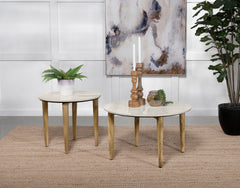 Tampa Furniture Outlet - Coaster - Aldis 2-piece Coffee and End Table Set White - 703718-S2