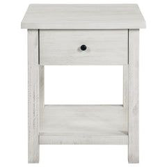 Payne 3-piece Coffee and 1-drawer End Table Set White