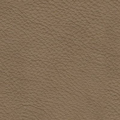 Veronella Sectional