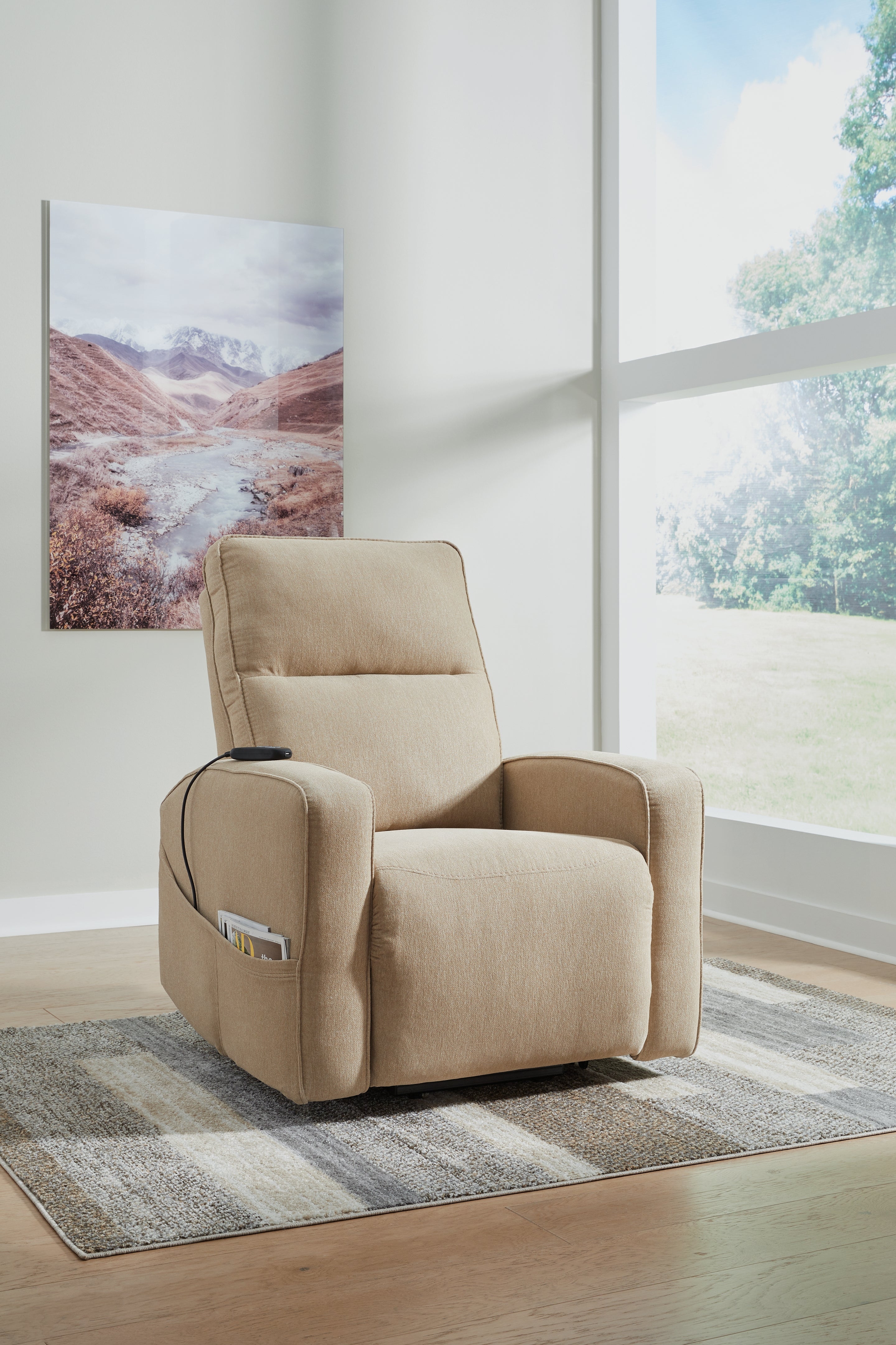 Tampa Furniture Outlet Lutz - Ashley Furniture - Starganza Living Room - Power Lift Recliner / Taupe - 9370312