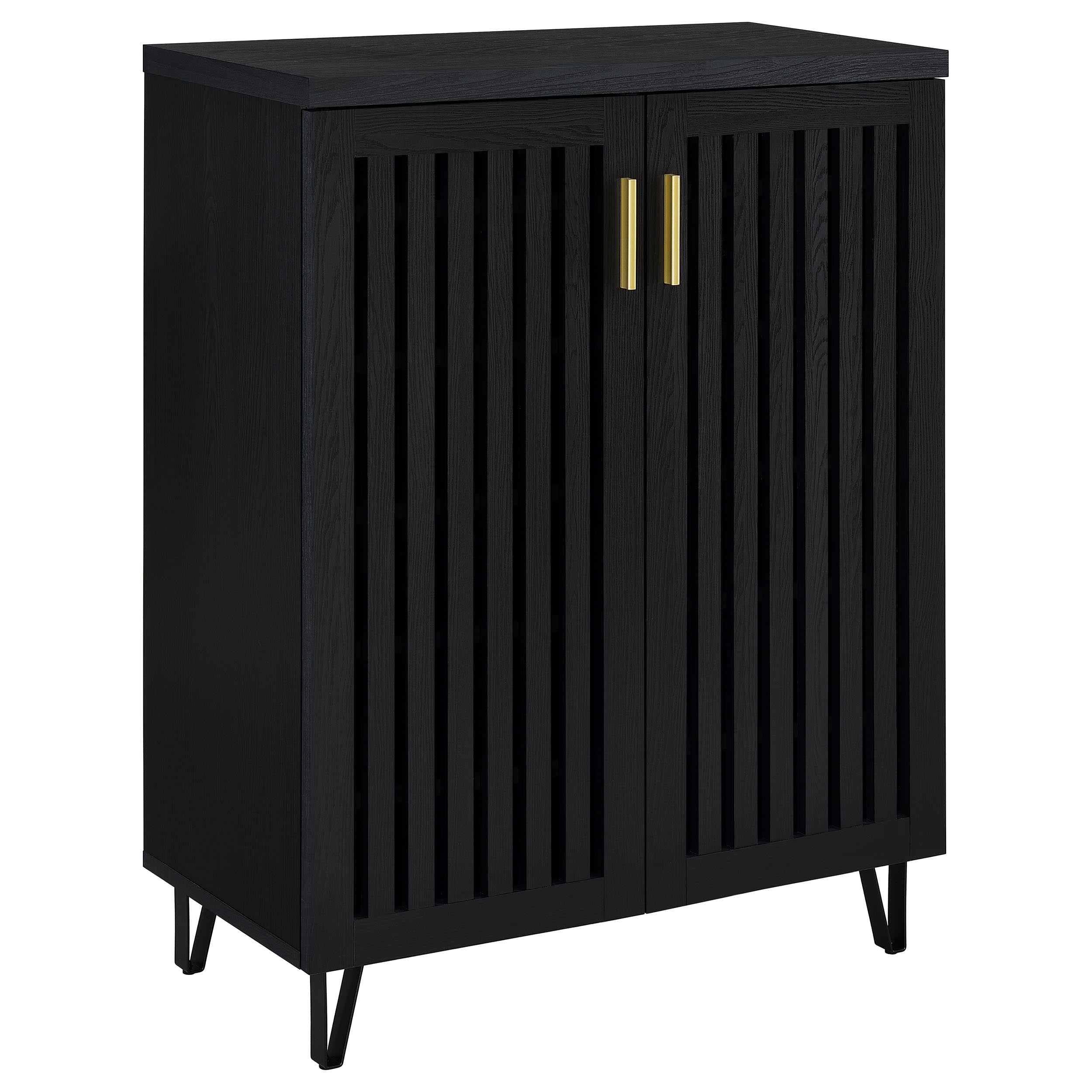 Tampa Furniture Outlet - Coaster - Brixton 2-door Entryway Shoe Storage Cabinets Black - 950422