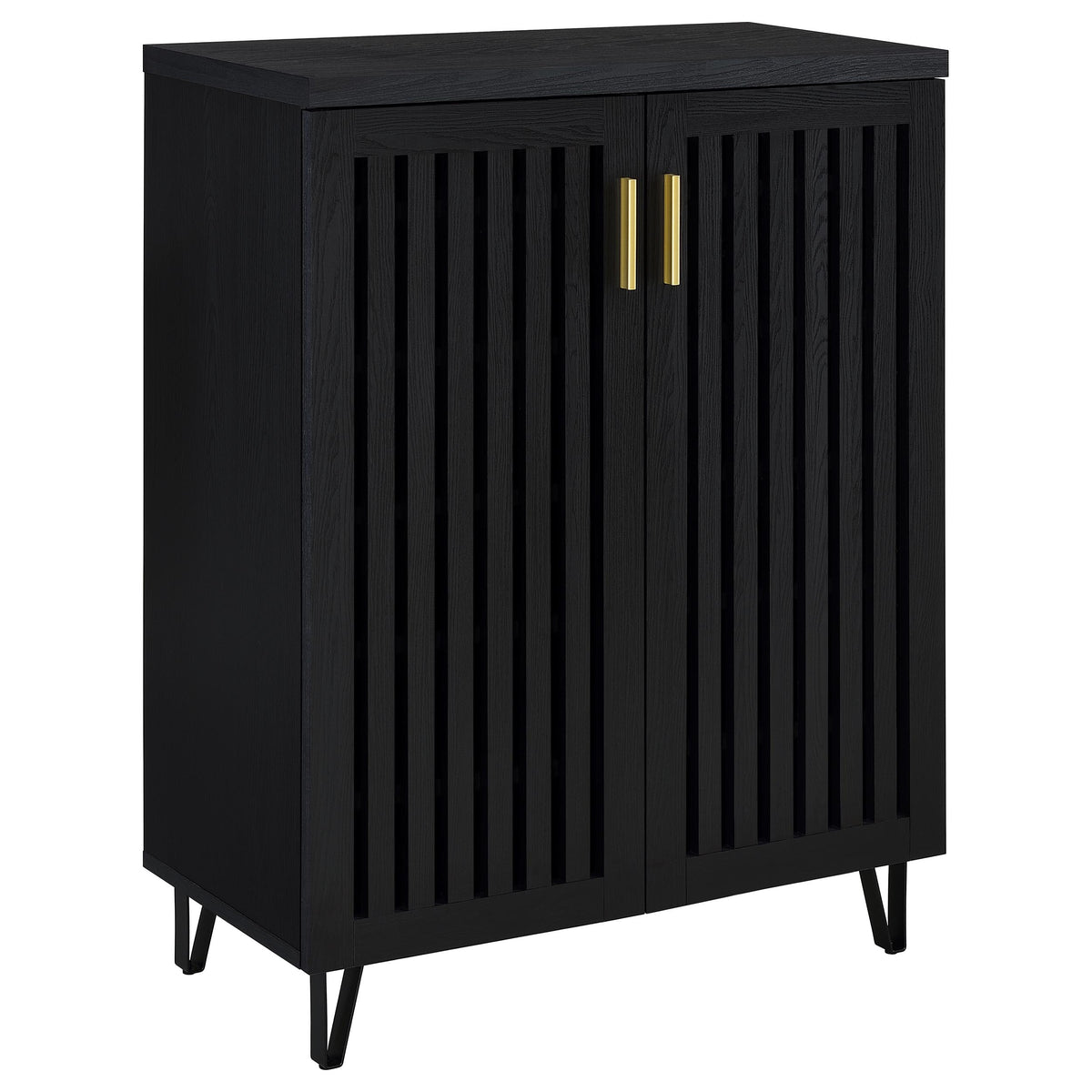 Tampa Furniture Outlet - Coaster - Brixton 2-door Entryway Shoe Storage Cabinets Black - 950422
