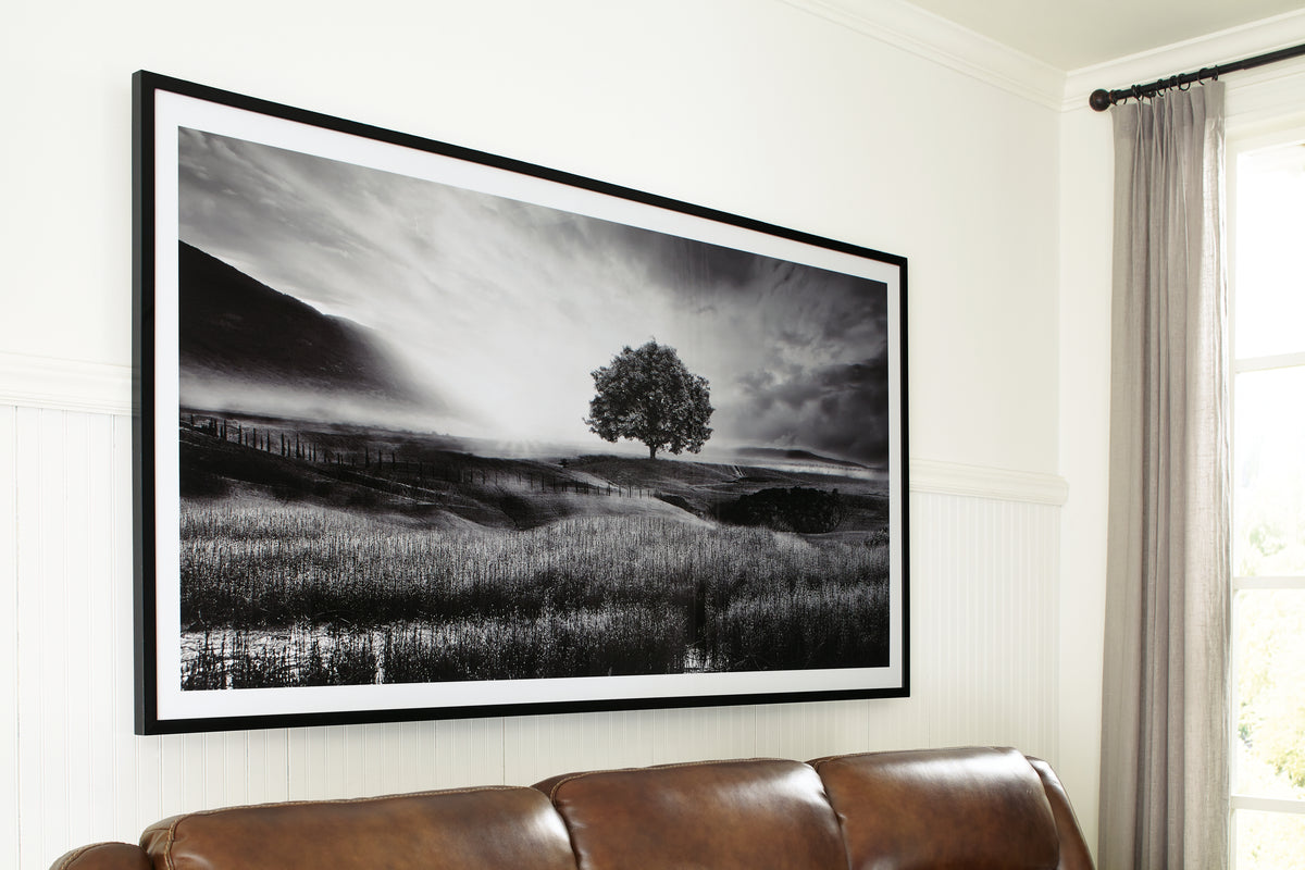 Tampa Furniture Outlet Lutz - Ashley Furniture - Deborland Wall Decor - Wall Art / Black/White - A8000341