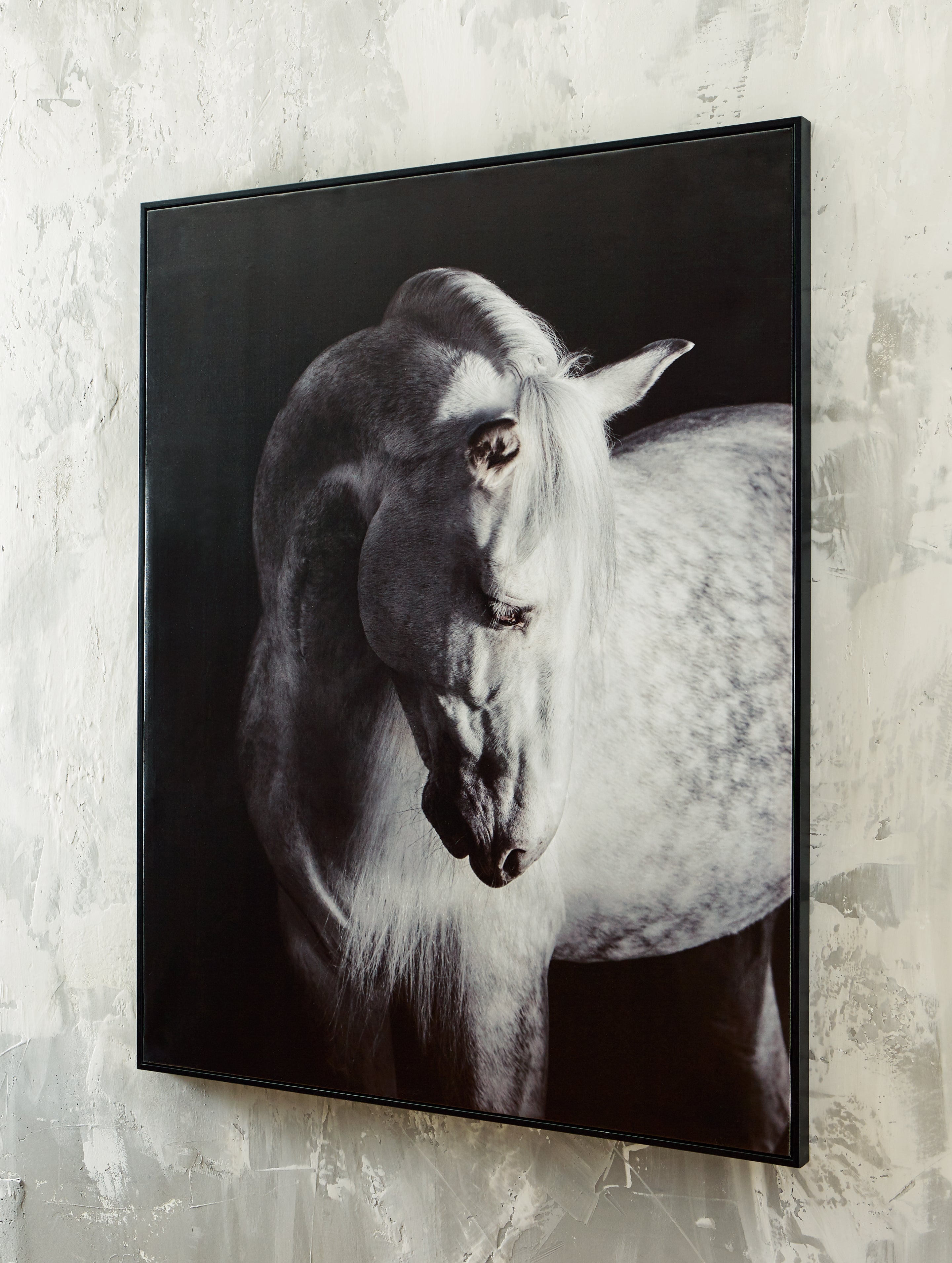 Tampa Furniture Outlet Lutz - Ashley Furniture - Archerwick Wall Decor - Wall Art / Black/White - A8000409