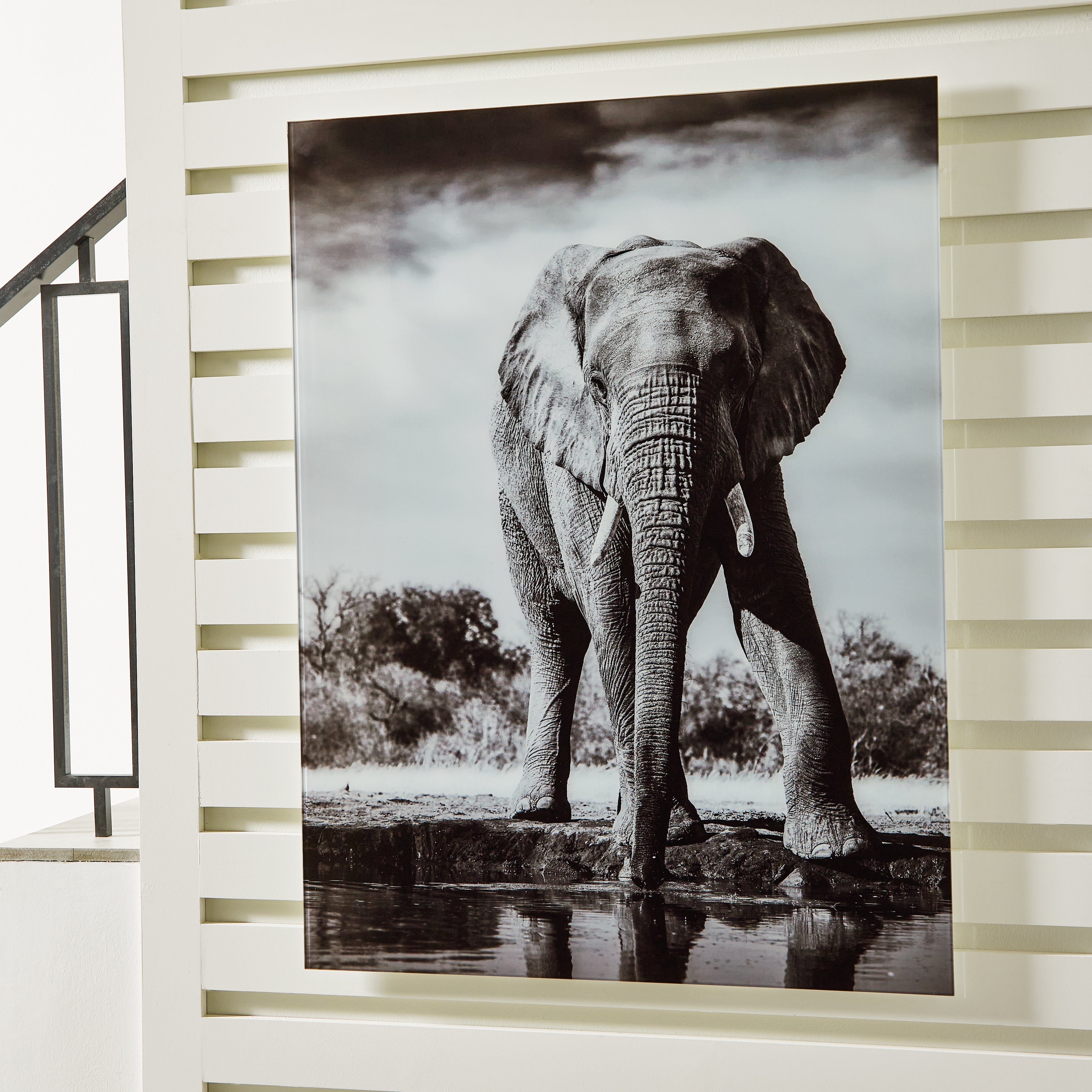 Tampa Furniture Outlet Lutz - Ashley Furniture - Glinyard Wall Decor - Wall Art / Black/White - A8000421