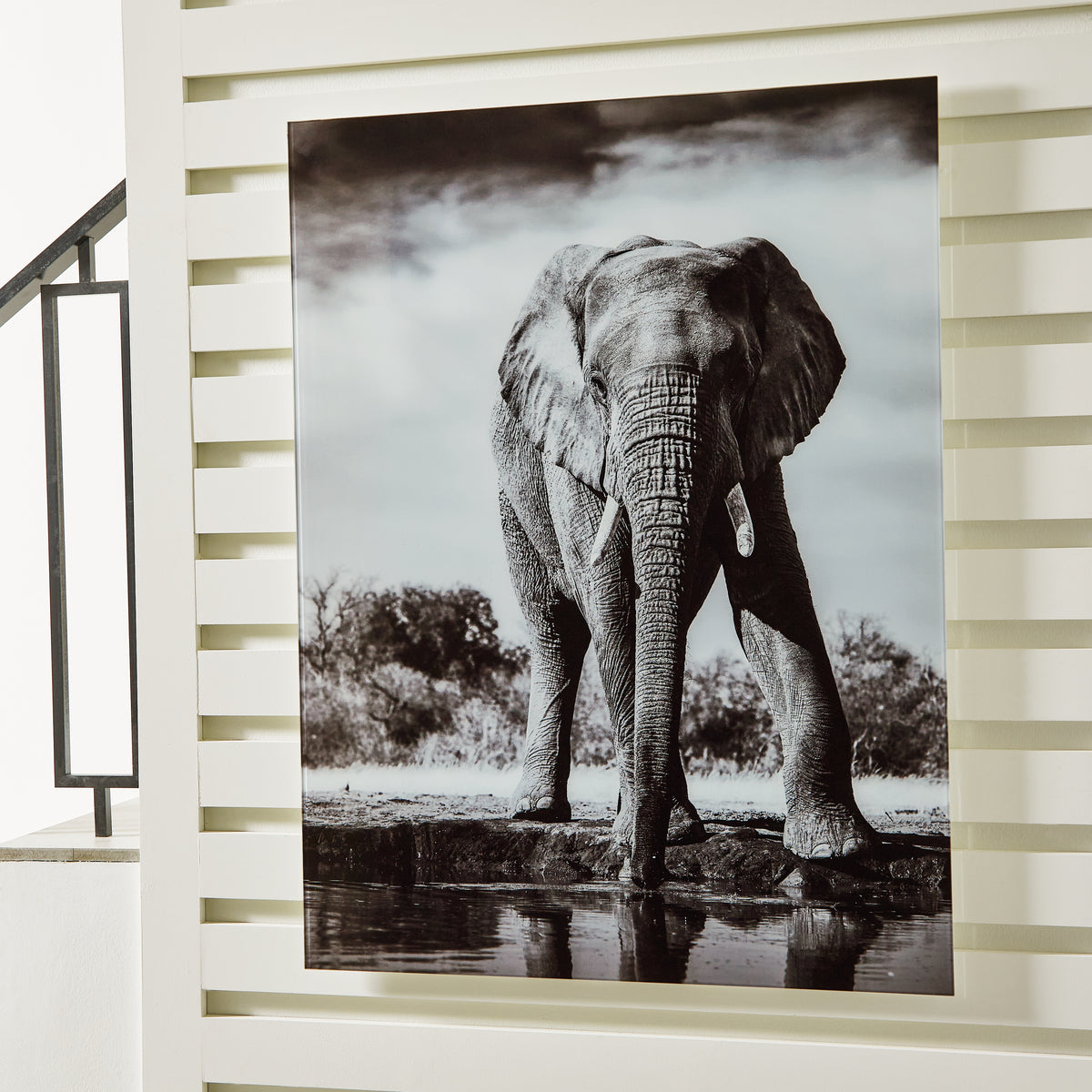 Tampa Furniture Outlet Lutz - Ashley Furniture - Glinyard Wall Decor - Wall Art / Black/White - A8000421