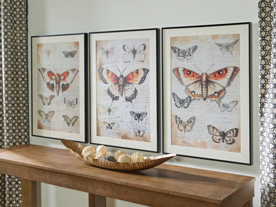 Home Decor