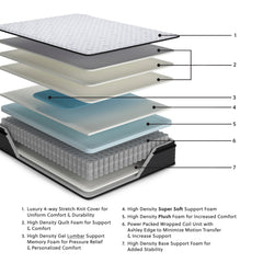 Anniversary Edition Pillowtop Mattresses