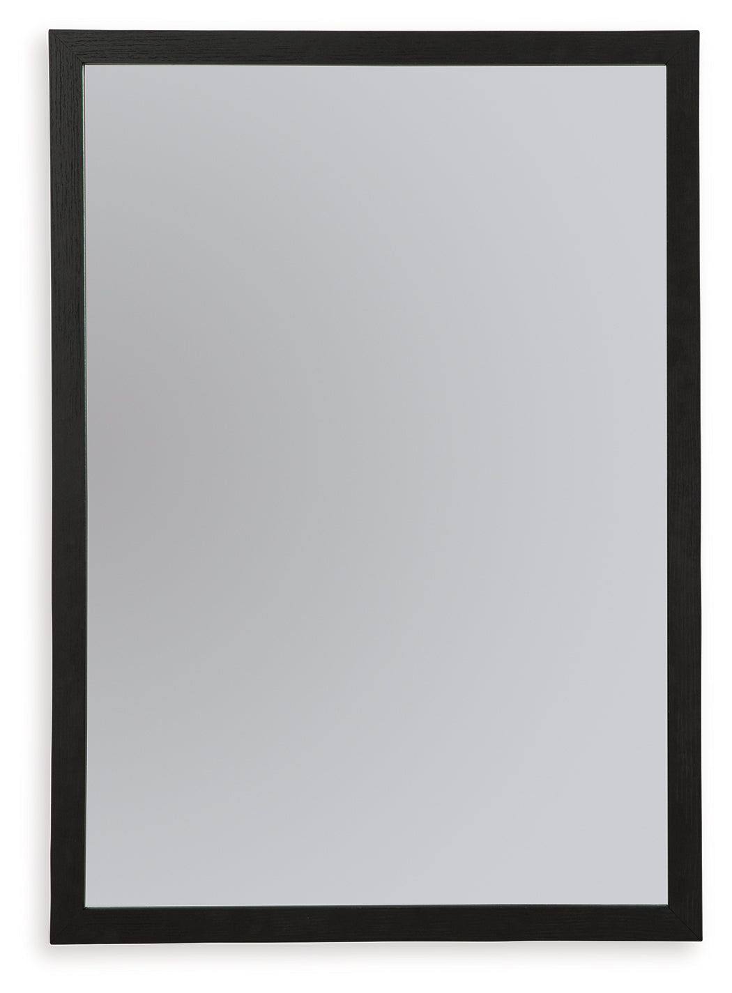 Tampa Furniture Outlet Lutz - Ashley Furniture - Danziar Bedroom - Bedroom Mirror / Black - B1013-36