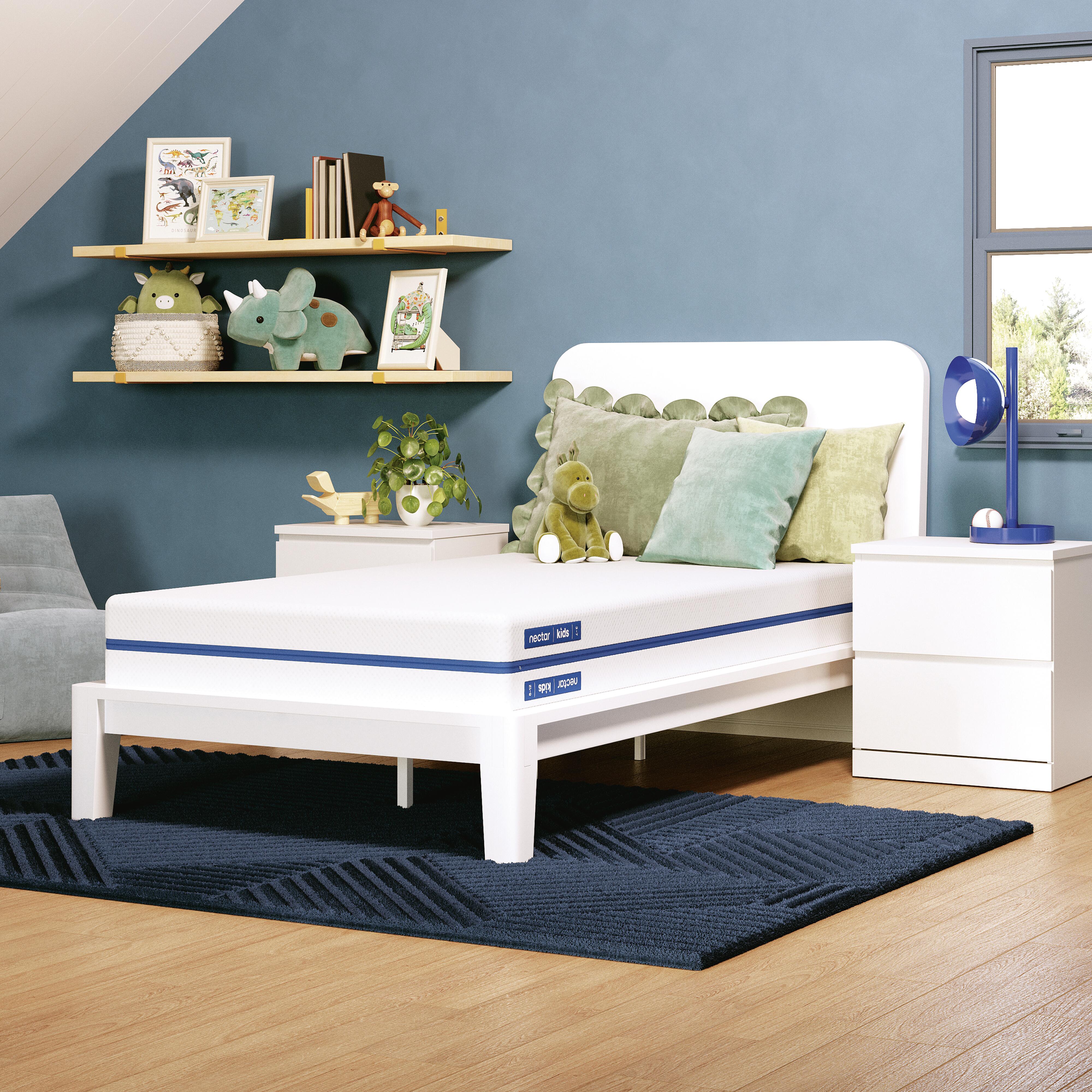 Tampa Furniture Outlet Lutz - Ashley Furniture - Nectar Foam Kids Mattresses - Full - M11721