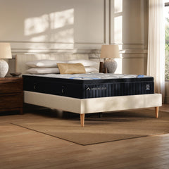 Tampa Furniture Outlet Lutz - Ashley Furniture - Dreamcloud Premier Memory Foam Mattresses - Queen - M12131