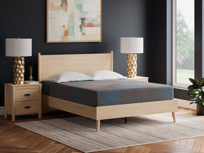 Tampa Furniture Outlet Lutz - Ashley Furniture - 13 Inch Hybrid Hot Buy Mattresses - King / Multi - M20741