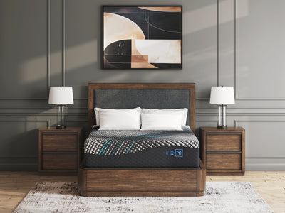 Tampa Furniture Outlet Lutz - Ashley Furniture - Millennium 2.0 Foam 14 Inch Mattresses - King / Black - M31241