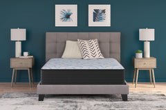 Tampa Furniture Outlet Lutz - Ashley Furniture - Elite Springs Firm Mattresses - Full / Gray/Blue - M40521