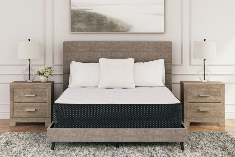 Tampa Furniture Outlet Lutz - Ashley Furniture - Limited Edition Plush Mattresses - King / White - M41141