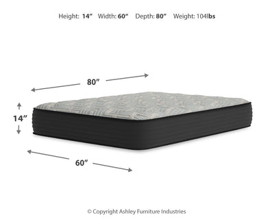 Palisades Firm Mattresses