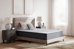 Tampa Furniture Outlet Lutz - Ashley Furniture - Anniversary Edition Plush Mattresses - Full - M42121