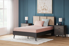 Tampa Furniture Outlet Lutz - Ashley Furniture - iKidz Coral Mattresses - Full and Pillow 2/CN / Coral - M43121