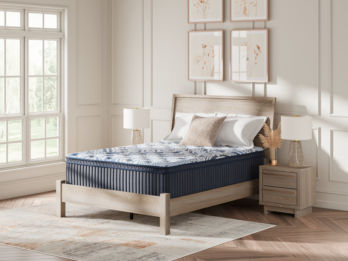 Tampa Furniture Outlet Lutz - Ashley Furniture - Plush Luxe 2.0 Mattresses - Queen / Blue - M49731