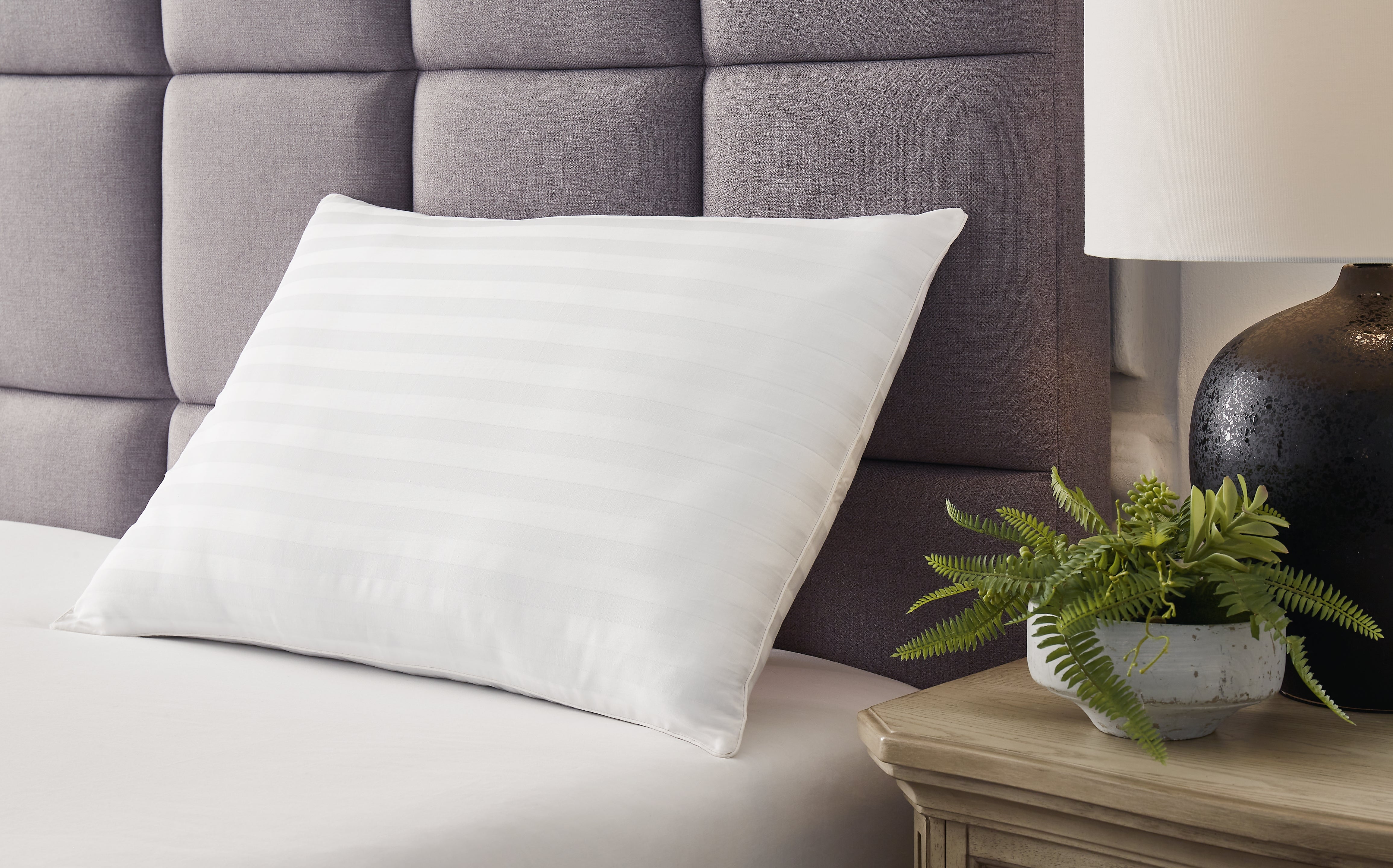 Tampa Furniture Outlet Lutz - Ashley Furniture - Zephyr 2.0 Pillows - Cotton Pillow (Set of 2) / White - M52110P