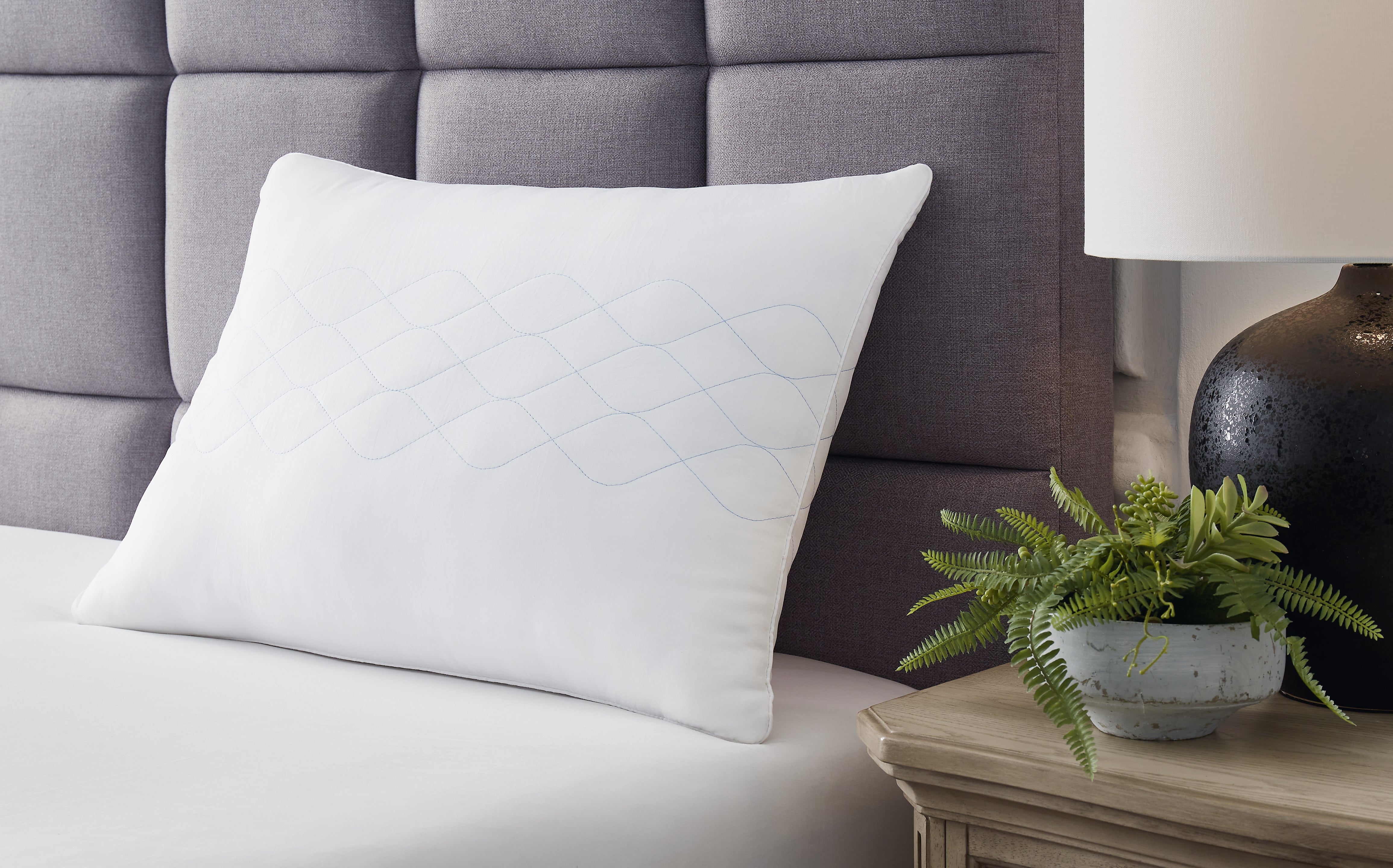 Tampa Furniture Outlet Lutz - Ashley Furniture - Zephyr 2.0 Pillows - Huggable Comfort Pillow / White - M52111P