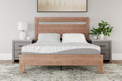 Tampa Furniture Outlet Lutz - Ashley Furniture - 8 Inch Memory Foam Mattresses - King / White - M59141